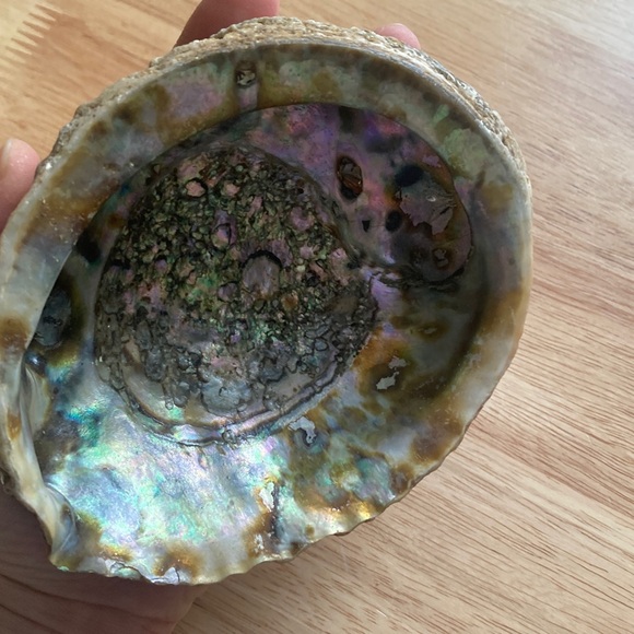 Elegant Iridescent Shell Art - Picture 4 of 14